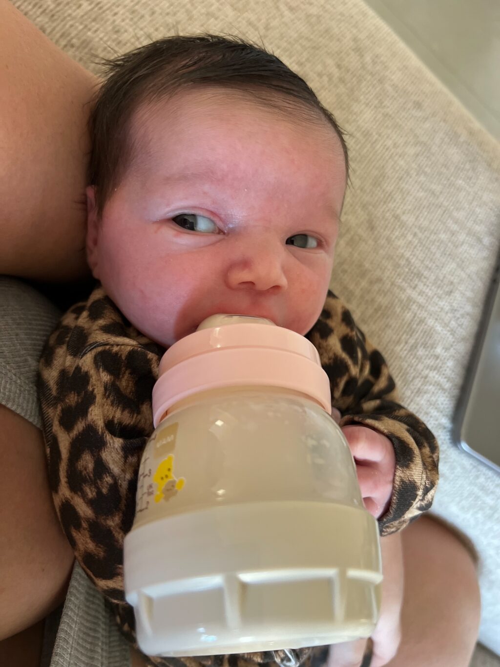 Instagram post from noaboroda. This post is in position 2.