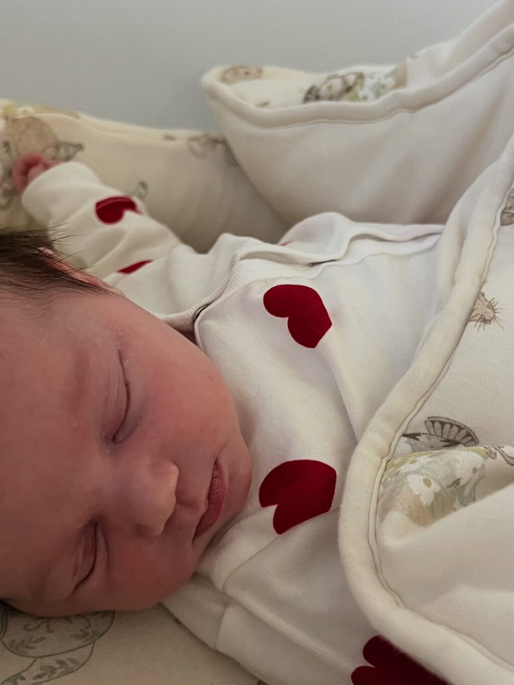 Instagram post from noaboroda. This post is in position 15.