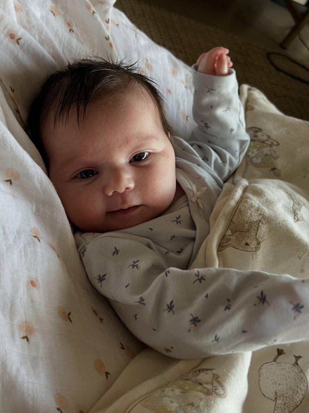 Instagram post from noaboroda. This post is in position 9.