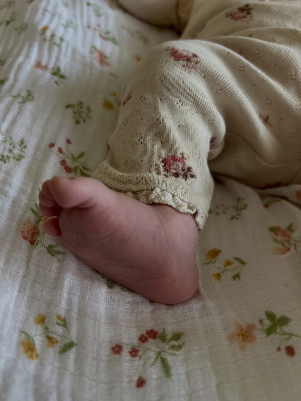 Instagram post from noaboroda. This post is in position 11.