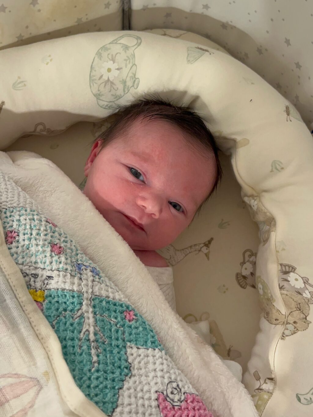 Instagram post from noaboroda. This post is in position 16.