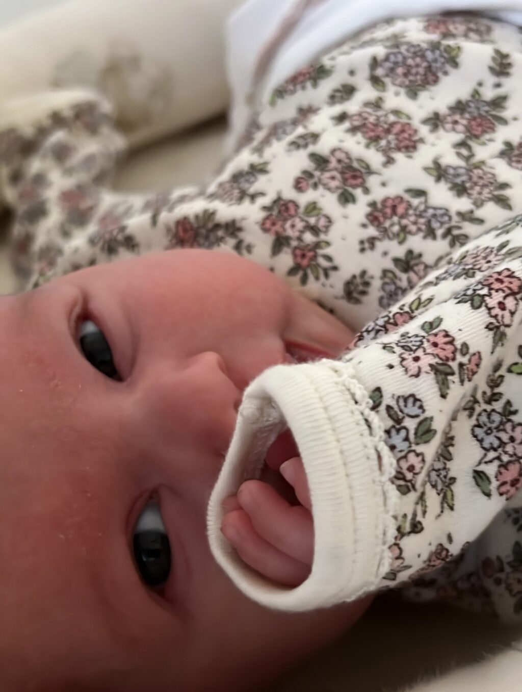 Instagram post from noaboroda. This post is in position 2.